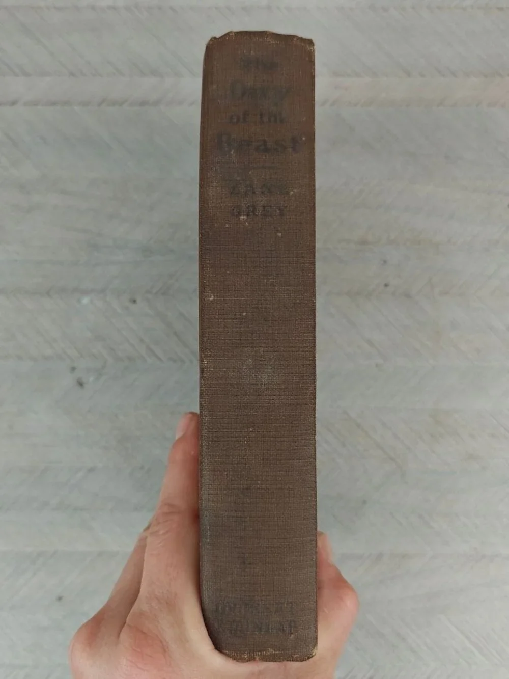 The Day Of The Beast Zane Grey 1922 Hardcover Western Fiction
